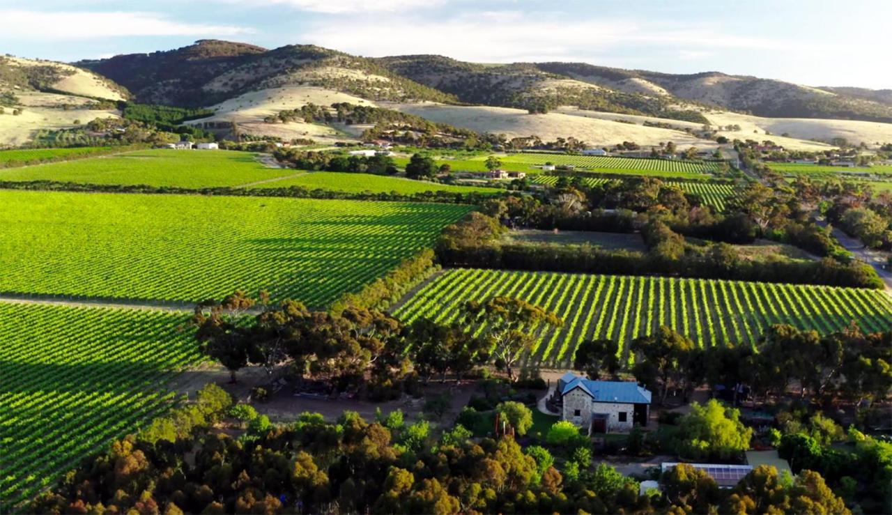 Bed and Breakfast The Old Chaff Mill Organic Vineyard Retreat Sellicks Hill Exteriér fotografie
