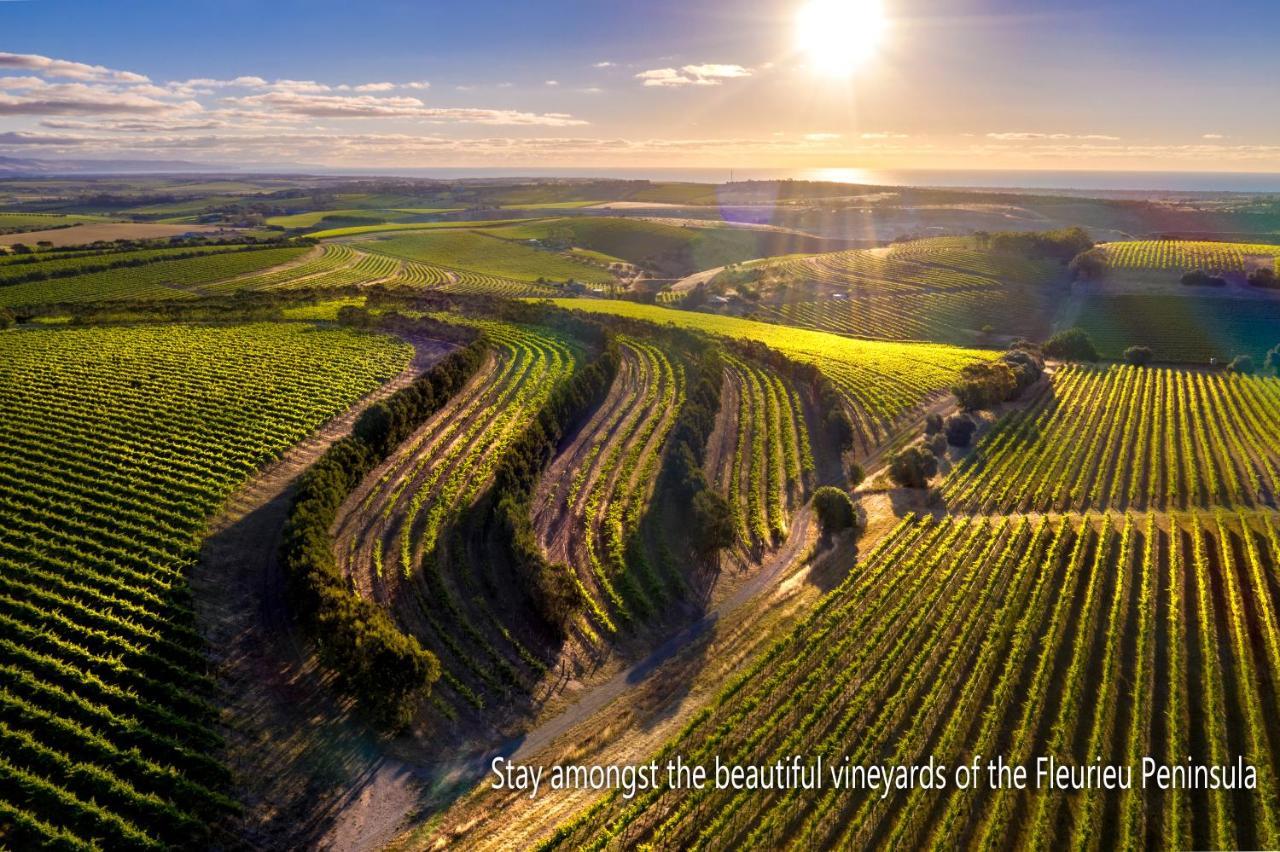 Bed and Breakfast The Old Chaff Mill Organic Vineyard Retreat Sellicks Hill Exteriér fotografie