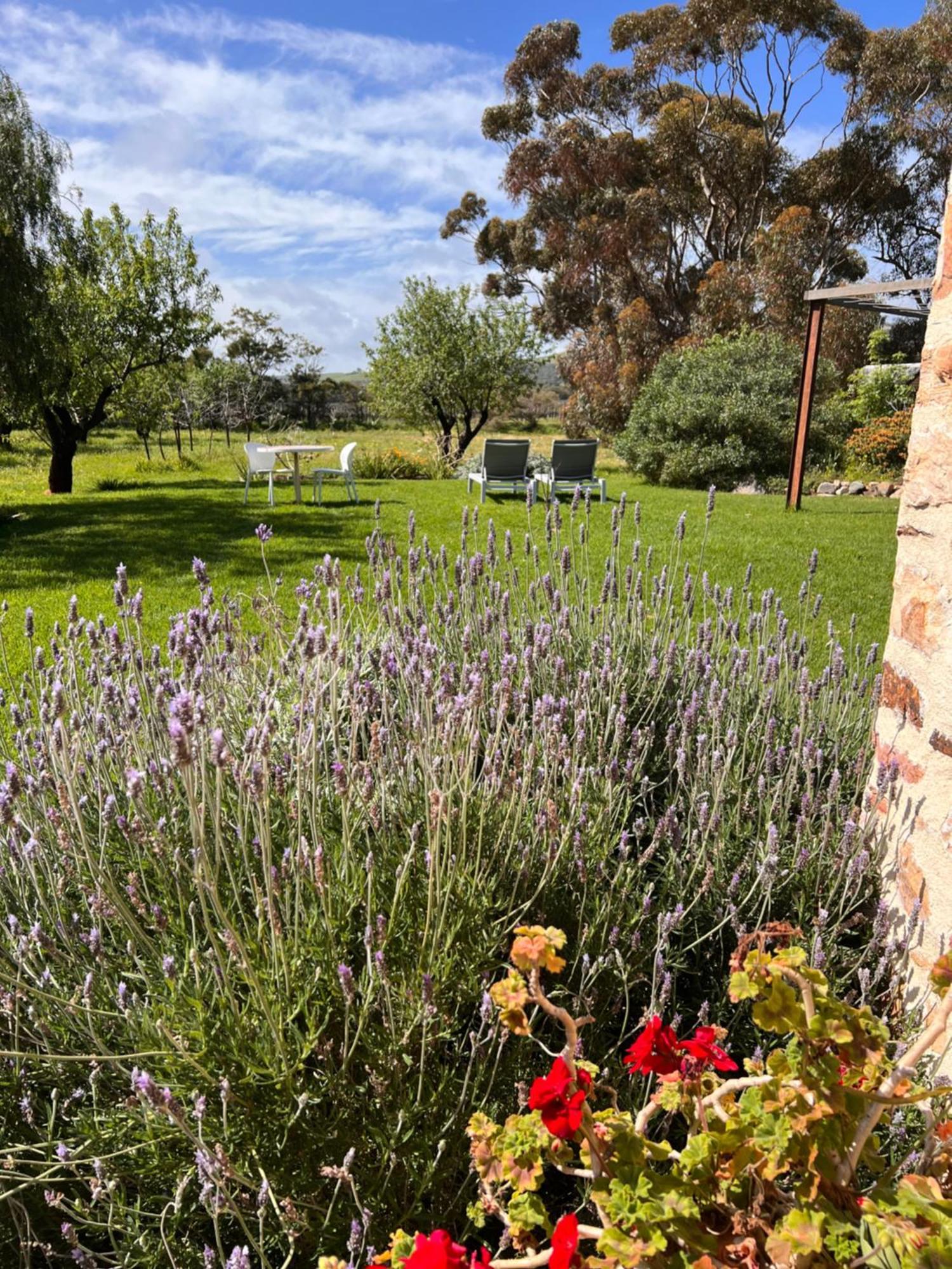 Bed and Breakfast The Old Chaff Mill Organic Vineyard Retreat Sellicks Hill Exteriér fotografie