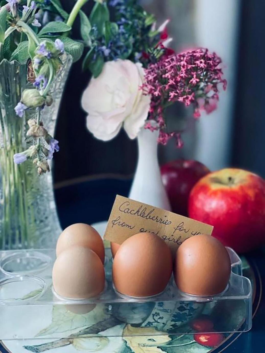 Bed and Breakfast The Old Chaff Mill Organic Vineyard Retreat Sellicks Hill Exteriér fotografie